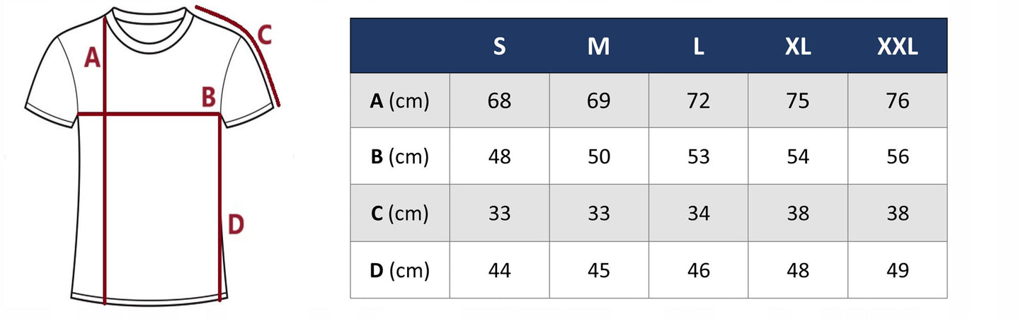 Koszulka męska t-shirt TOMMY HILFIGER 100% bawełna czarna