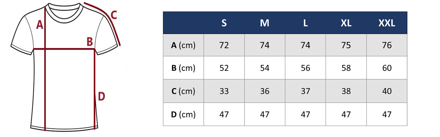Koszulka męska t-shirt LOUIS VUITTON 100% bawełna czarna